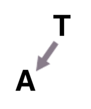 Решение рисунок 6