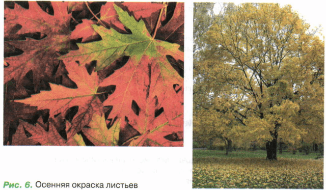 Задание рисунок 1