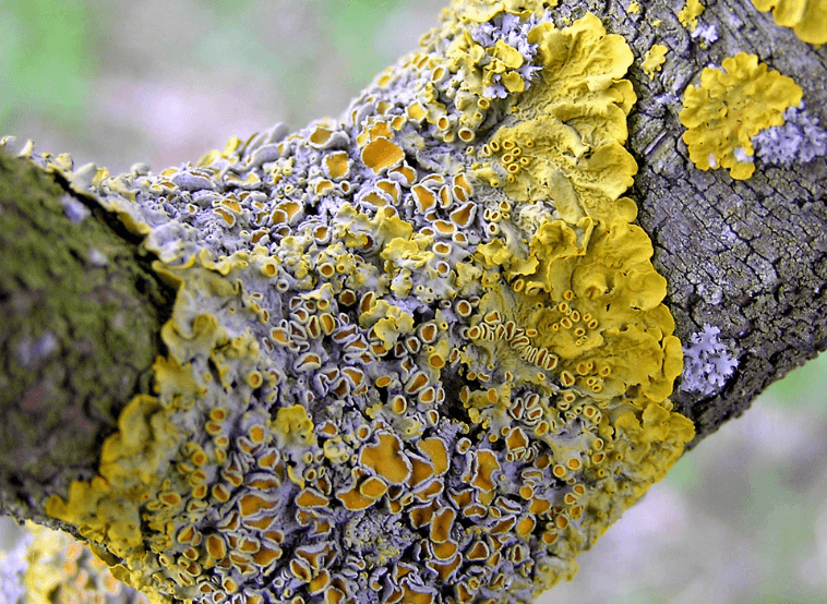 Решение рисунок 3