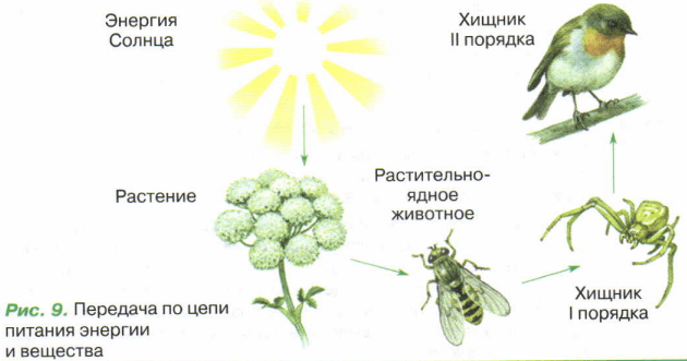 Задание рисунок 1