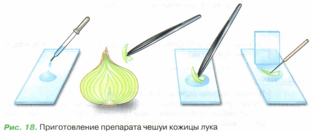 Задание рисунок 1