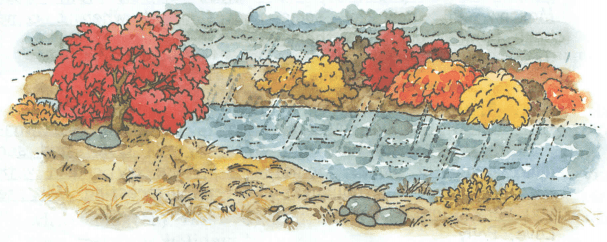 Задание рисунок 1