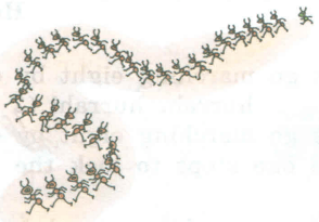 Задание рисунок 1