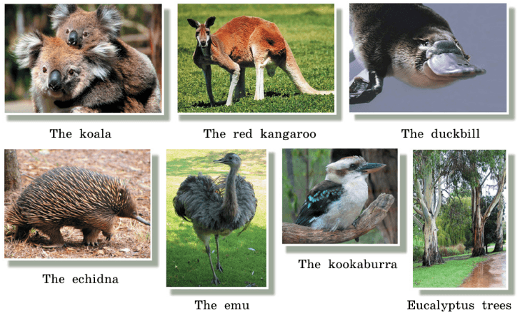 Задание рисунок 1