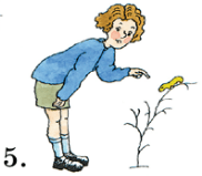 Задание рисунок 5