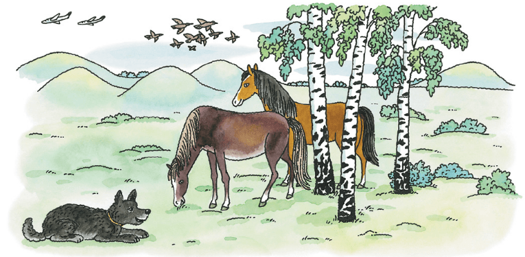 Задание рисунок 1