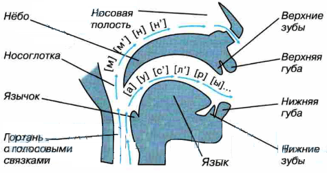 Задание рисунок 1