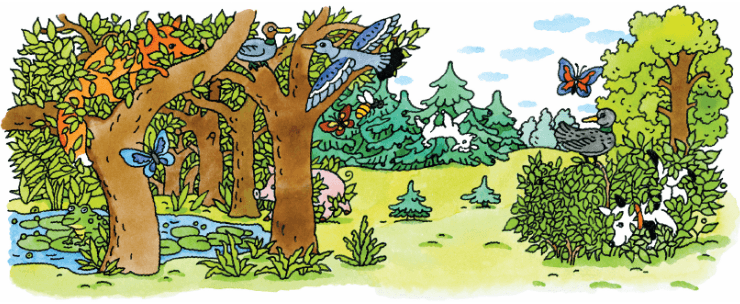 Задание рисунок 1