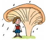 Задание рисунок 6