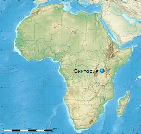 Решение рисунок 2