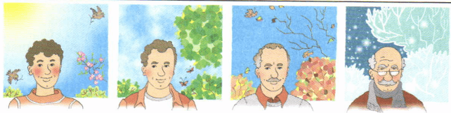 Задание рисунок 1